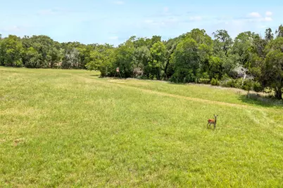 1128 Posey Ranch Road, Fischer, TX 78623 - Photo 40