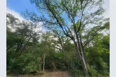 Tbd Post Oak Rim Drive, Bastrop, TX 78602 - Photo 4