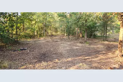 194 Fm 2104, Smithville, TX 78957 - Photo 6