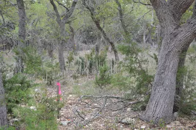 4016 McGregor Lane, Dripping Springs, TX 78620 - Photo 36