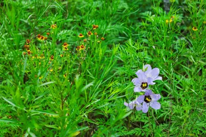 12175 N US Hwy 183, Florence, TX 76527 - Photo 26