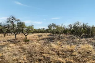 Tbd Mesa Alta Ln, Dripping Springs, TX 78620 - Photo 26