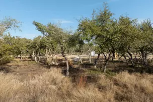 Tbd Mesa Alta Ln, Dripping Springs, TX 78620 - Photo 24