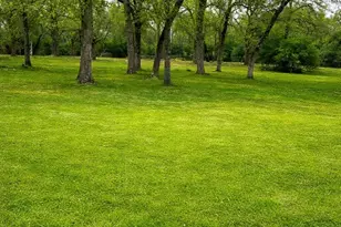 7031 Red Rock Rd, Franklin, TX 77856 - Photo 14