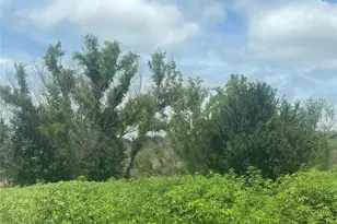 7855 Taylorsville Rd, Dale, TX 78616 - Photo 12