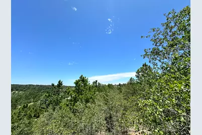 Tbd Manawianui Drive, Bastrop, TX 78602 - Photo 8