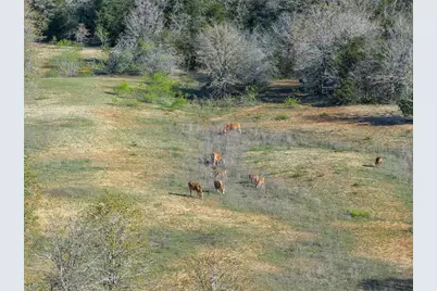 2313 E US Highway 79, Rockdale, TX 76567 - Photo 18