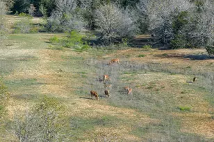 2313 E US Hwy 79, Rockdale, TX 76567 - Photo 18