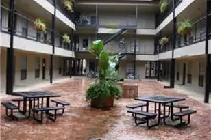 2401 Leon St, Austin, TX 78705 - Photo 12