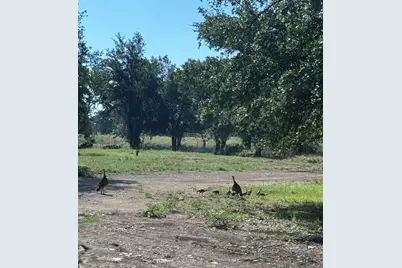 125 Milton Creek Ranch Road, Liberty Hill, TX 78642 - Photo 18