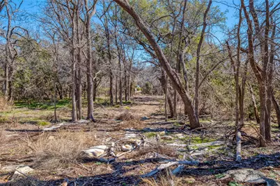 125 Milton Creek Ranch Road, Liberty Hill, TX 78642 - Photo 12