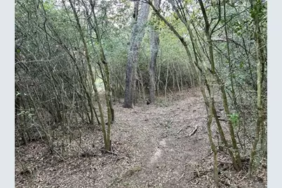 1073 Creekside Lane, Lexington, TX 78947 - Photo 6