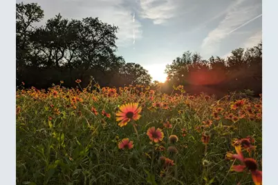 1751 County Road 255, Georgetown, TX 78633 - Photo 28