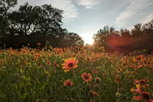 1751 Co Rd 255, Georgetown, TX 78633 - Photo 28