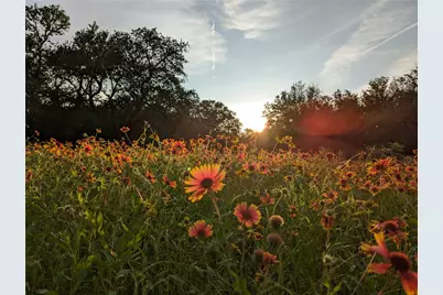 1751 County Road 255, Georgetown, TX 78633 - Photo 28