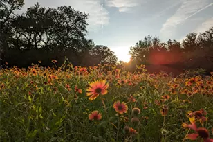 1751 Co Rd 255, Georgetown, TX 78633 - Photo 28
