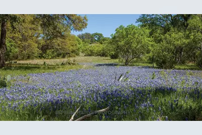 224 Menlo Bend, Liberty Hill, TX 78642 - Photo 10