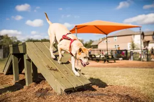224 Menlo Bnd, Liberty Hill, TX 78642 - Photo 10
