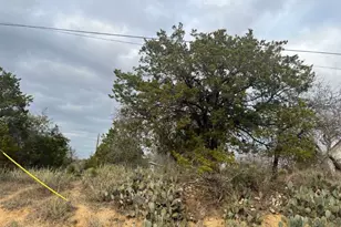 Lot 261 W Briarway Dr, Granite Shoals, TX 78654 - Photo 8