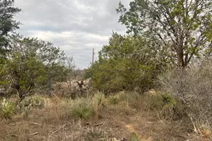 Lot 261 W Briarway Dr, Granite Shoals, TX 78654 - Photo 4