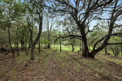 1005 Covered Bridge Drive, Driftwood, TX 78619 - Photo 1