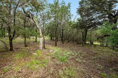 1005 Covered Bridge Drive, Driftwood, TX 78619 - Photo 18