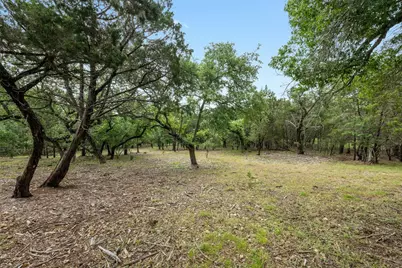 1005 Covered Bridge Drive, Driftwood, TX 78619 - Photo 6