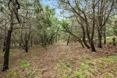 1005 Covered Bridge Drive, Driftwood, TX 78619 - Photo 10
