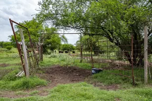 Tbd Rice Rd, Bernardo, TX 78933 - Photo 8