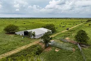 Tbd Rice Rd, Bernardo, TX 78933 - Photo 20