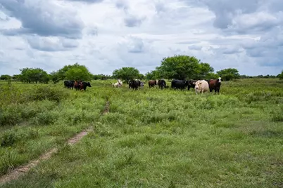Tbd Rice Road, Bernardo, TX 78933 - Photo 6