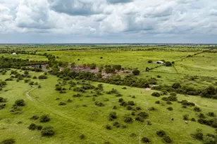 Tbd Rice Rd, Bernardo, TX 78933 - Photo 32