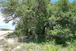 Lot 42 Serenity Dr, Bertram, TX 78605 - Photo 6