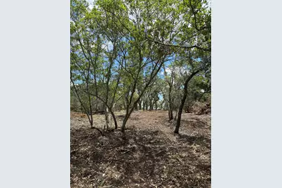 8.36 Acres Altwein Road, Blanco, TX 78606 - Photo 14