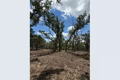 8.36 Acres Altwein Road, Blanco, TX 78606 - Photo 16