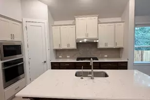 252 Basket Flower Loop, Kyle, TX 78640 - Photo 4