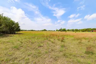 215 & 401 Live Oak, Liberty Hill, TX 78642 - Photo 6