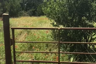 1685 Hwy 281 Hwy, Johnson City, TX 78636 - Photo 28