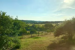 100 Dario Dr, Dripping Springs, TX 78620 - Photo 14