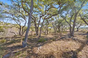 100 Dario Dr, Dripping Springs, TX 78620 - Photo 22