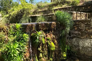 100 Dario Dr, Dripping Springs, TX 78620 - Photo 4