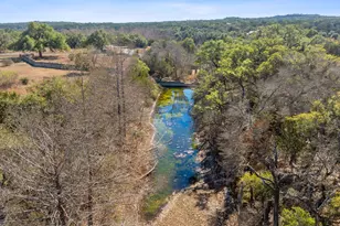 100 Dario Dr, Dripping Springs, TX 78620 - Photo 8