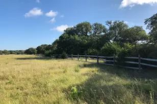 100 Dario Dr, Dripping Springs, TX 78620 - Photo 12