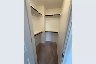 234 Spiny Lizard Lane, San Marcos, TX 78666 - Photo 12