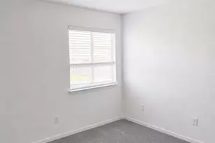 317 Altamont St, Hutto, TX 78634 - Photo 8