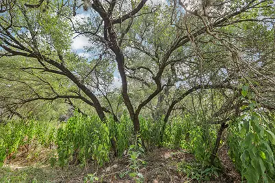12610 River Bend, Austin, TX 78732 - Photo 2