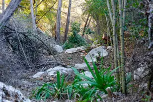 9201 Silver Pine Cove, Austin, TX 78733 - Photo 36