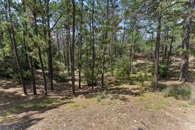138 Papawai Drive, Bastrop, TX 78602 - Photo 38