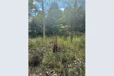Lots 1338 and 1339 Tahitian Drive, Bastrop, TX 78602 - Photo 2