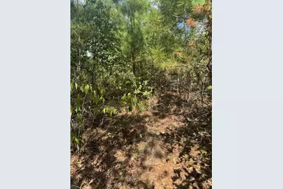 Lots 1338 and 1339 Tahitian Drive, Bastrop, TX 78602 - Photo 6